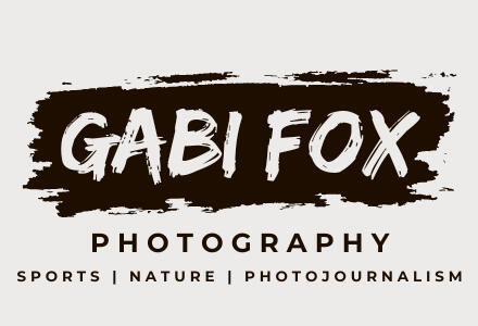 Gabi Fox Photography